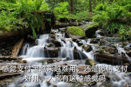 感覺(jué)支付寶越來(lái)越難用，還是微信支付好用，大家有這種感覺(jué)嗎