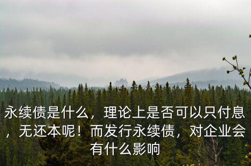 永續(xù)債是什么，理論上是否可以只付息，無還本呢！而發(fā)行永續(xù)債，對企業(yè)會有什么影響