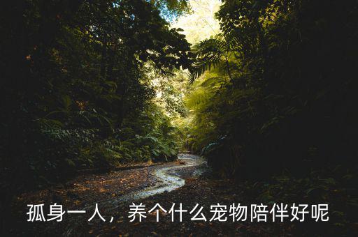 孤身一人，養(yǎng)個什么寵物陪伴好呢