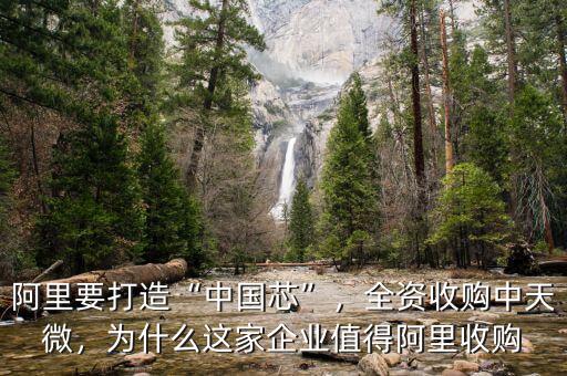 阿里要打造“中國(guó)芯”，全資收購(gòu)中天微，為什么這家企業(yè)值得阿里收購(gòu)