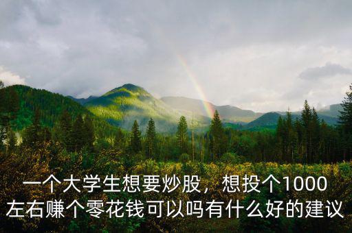一個大學(xué)生想要炒股，想投個1000左右賺個零花錢可以嗎有什么好的建議