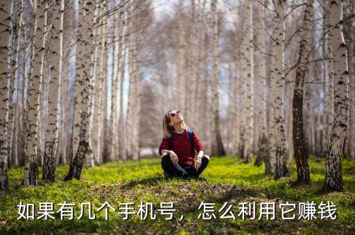如果有幾個(gè)手機(jī)號(hào)，怎么利用它賺錢