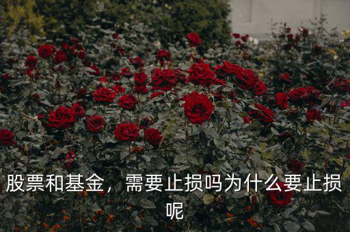 股票和基金，需要止損嗎為什么要止損呢