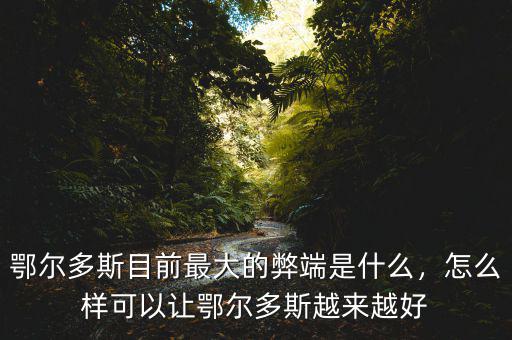 鄂爾多斯目前最大的弊端是什么，怎么樣可以讓鄂爾多斯越來越好