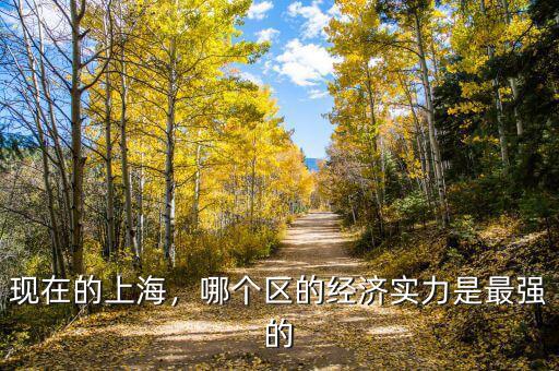 現(xiàn)在的上海，哪個(gè)區(qū)的經(jīng)濟(jì)實(shí)力是最強(qiáng)的