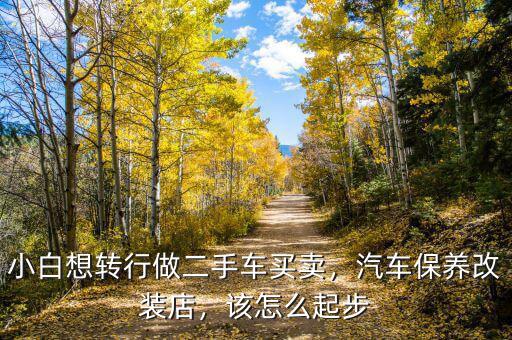 小白想轉(zhuǎn)行做二手車買賣，汽車保養(yǎng)改裝店，該怎么起步