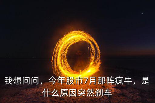 我想問問，今年股市7月那陣瘋牛，是什么原因突然剎車