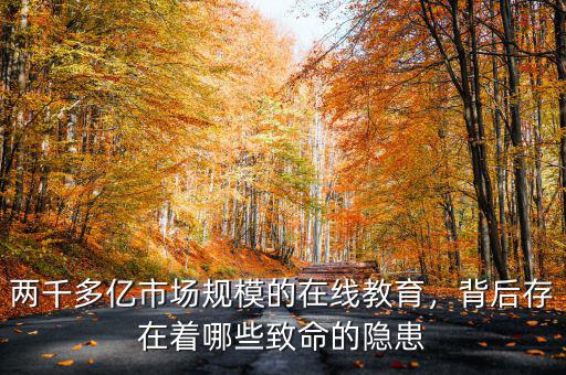 兩千多億市場規(guī)模的在線教育，背后存在著哪些致命的隱患