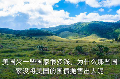 美國欠一些國家很多錢，為什么那些國家沒將美國的國債拋售出去呢