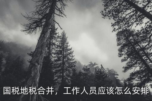 國稅地稅合并，工作人員應(yīng)該怎么安排