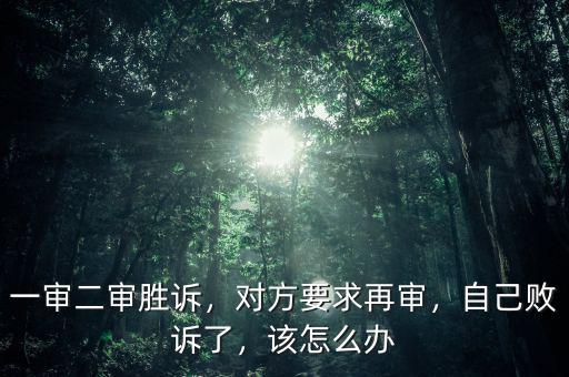 一審二審勝訴，對方要求再審，自己敗訴了，該怎么辦
