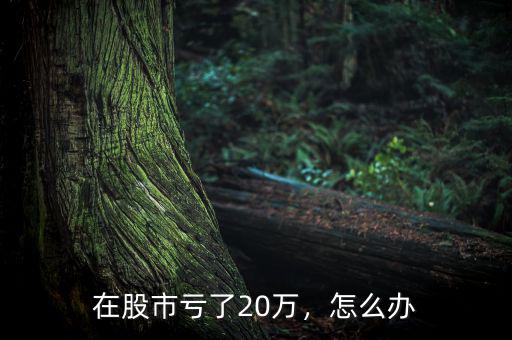 在股市虧了20萬(wàn)，怎么辦