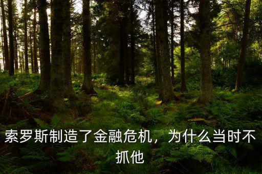 索羅斯制造了金融危機(jī)，為什么當(dāng)時(shí)不抓他