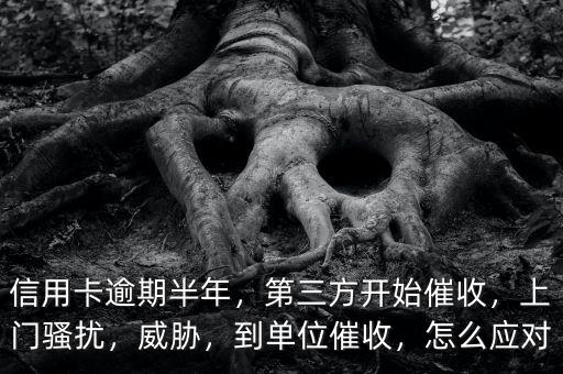 信用卡逾期半年，第三方開(kāi)始催收，上門騷擾，威脅，到單位催收，怎么應(yīng)對(duì)