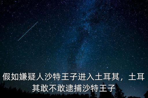 假如嫌疑人沙特王子進入土耳其，土耳其敢不敢逮捕沙特王子
