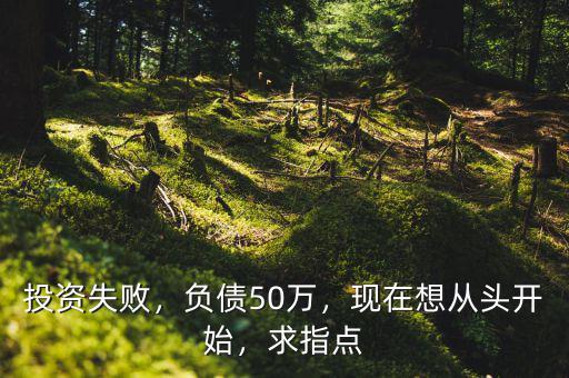 投資失敗，負(fù)債50萬，現(xiàn)在想從頭開始，求指點