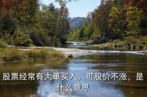 股票經(jīng)常有大單買入，可股價不漲，是什么意思