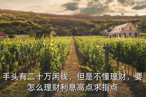 手頭有二十萬閑錢，但是不懂理財，要怎么理財利息高點求指點