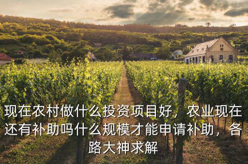 現(xiàn)在農(nóng)村做什么投資項(xiàng)目好，農(nóng)業(yè)現(xiàn)在還有補(bǔ)助嗎什么規(guī)模才能申請補(bǔ)助，各路大神求解