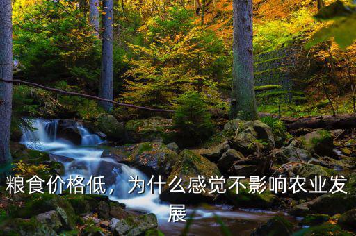 糧食價(jià)格低，為什么感覺不影響農(nóng)業(yè)發(fā)展