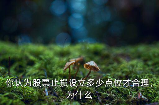 你認(rèn)為股票止損設(shè)立多少點(diǎn)位才合理，為什么
