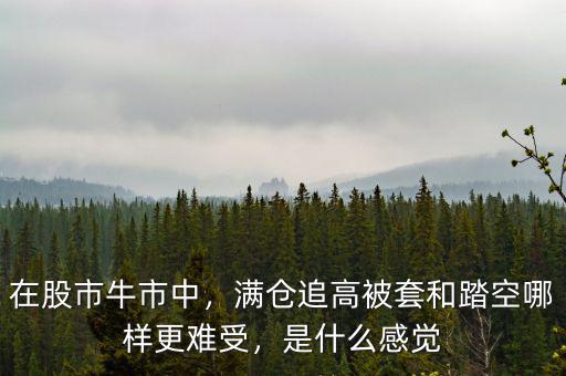 在股市牛市中，滿倉(cāng)追高被套和踏空哪樣更難受，是什么感覺(jué)