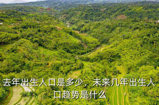 去年出生人口是多少，未來幾年出生人口趨勢(shì)是什么