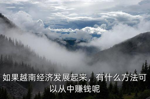如果越南經(jīng)濟發(fā)展起來，有什么方法可以從中賺錢呢
