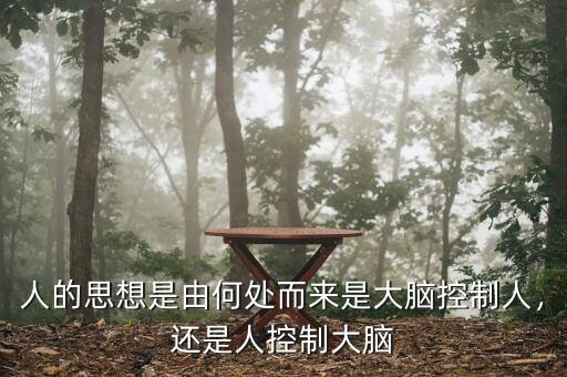 人的思想是由何處而來(lái)是大腦控制人，還是人控制大腦