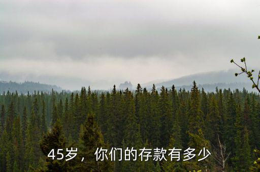 45歲，你們的存款有多少