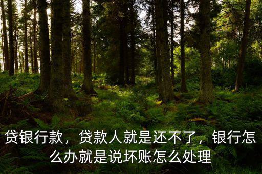 貸銀行款，貸款人就是還不了，銀行怎么辦就是說壞賬怎么處理