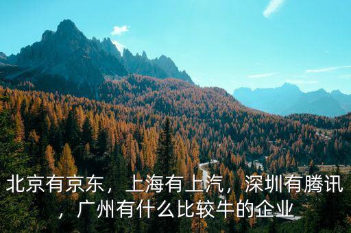 北京有京東，上海有上汽，深圳有騰訊，廣州有什么比較牛的企業(yè)