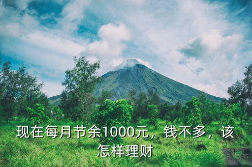 現(xiàn)在每月節(jié)余1000元，錢(qián)不多，該怎樣理財(cái)