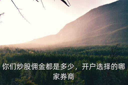 你們炒股傭金都是多少，開(kāi)戶選擇的哪家券商