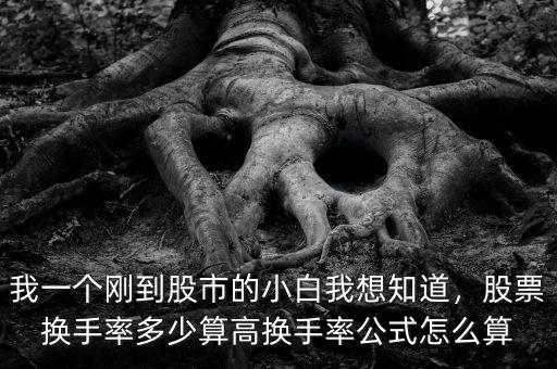 我一個剛到股市的小白我想知道，股票換手率多少算高換手率公式怎么算