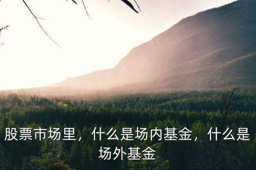 股票市場里，什么是場內(nèi)基金，什么是場外基金