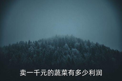 賣一千元的蔬菜有多少利潤(rùn)