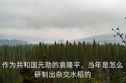 作為共和國(guó)元?jiǎng)椎脑∑?，?dāng)年是怎么研制出雜交水稻的