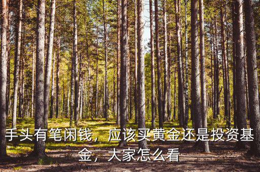 手頭有筆閑錢，應(yīng)該買黃金還是投資基金，大家怎么看