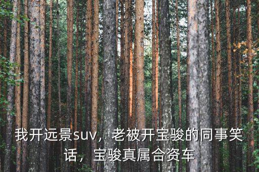 我開遠景suv，老被開寶駿的同事笑話，寶駿真屬合資車