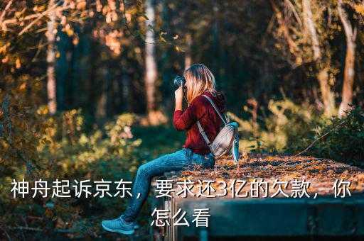 神舟起訴京東，要求還3億的欠款，你怎么看