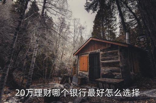 20萬(wàn)怎么樣理財(cái),手上有20萬(wàn)閑錢(qián)