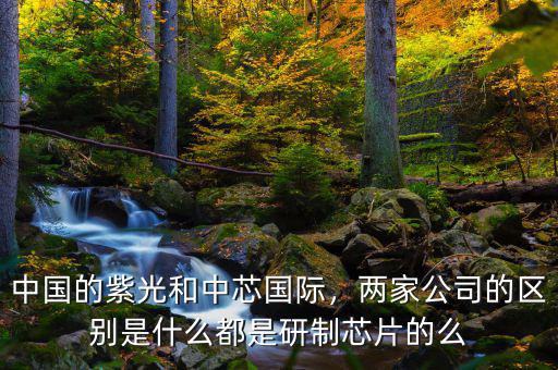中國的紫光和中芯國際，兩家公司的區(qū)別是什么都是研制芯片的么