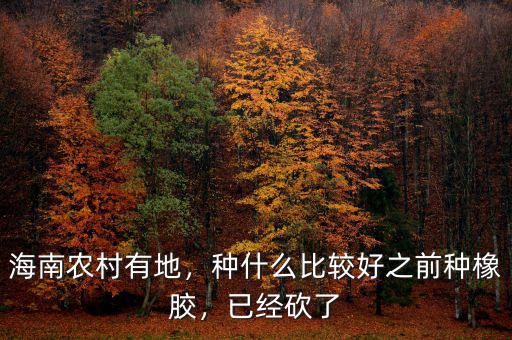 海南農(nóng)村有地，種什么比較好之前種橡膠，已經(jīng)砍了