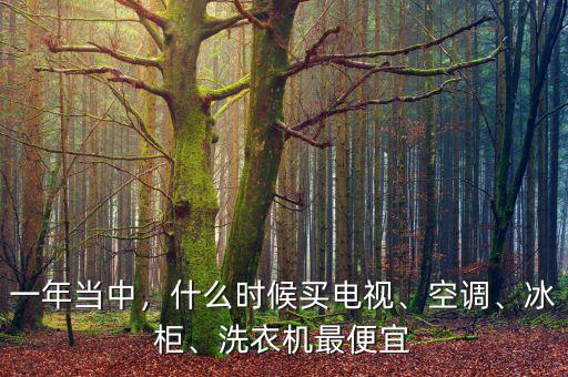 一年當(dāng)中，什么時(shí)候買電視、空調(diào)、冰柜、洗衣機(jī)最便宜