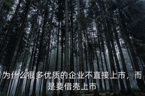 為什么很多優(yōu)質的企業(yè)不直接上市，而是要借殼上市