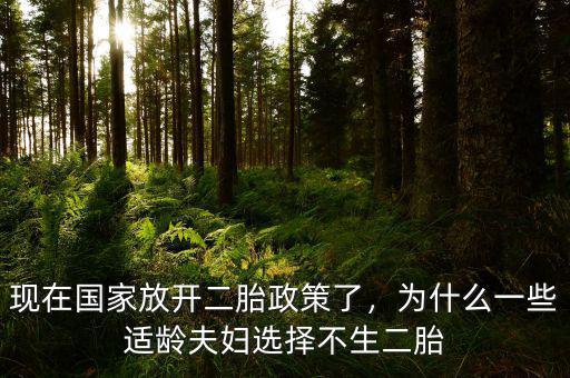 現(xiàn)在國家放開二胎政策了，為什么一些適齡夫婦選擇不生二胎