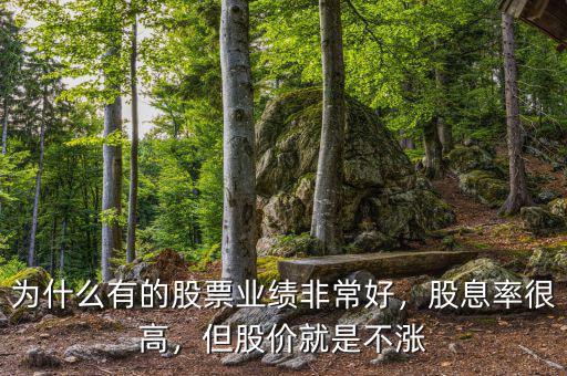 為什么有的股票業(yè)績非常好，股息率很高，但股價就是不漲