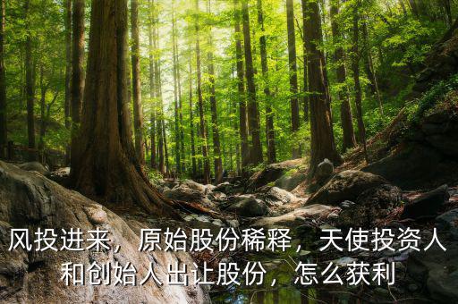 風(fēng)投進(jìn)來，原始股份稀釋，天使投資人和創(chuàng)始人出讓股份，怎么獲利