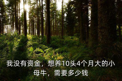 我沒有資金，想養(yǎng)10頭4個月大的小母牛，需要多少錢